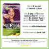 Garnier Nutrisse 5.21 Intense Lilac